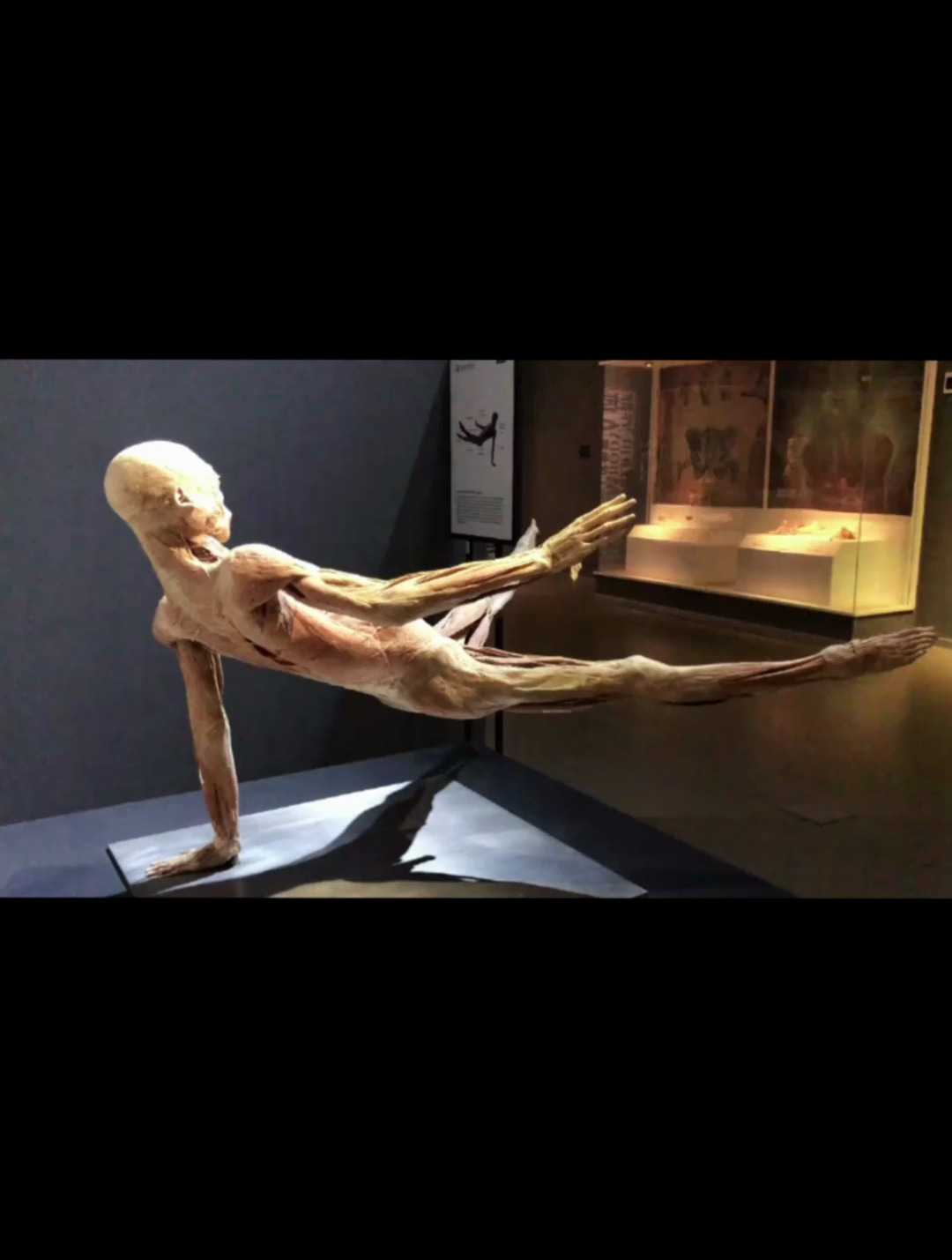 8块腹肌是天选之子?