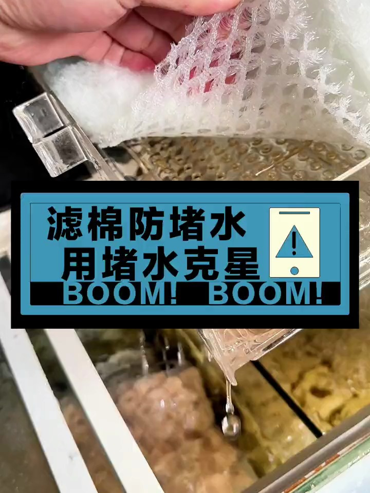 鱼缸过滤堵水怎么办?谁还没个懒惰忘记的时候!