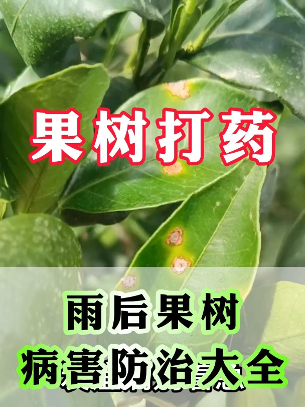 病害防治大全