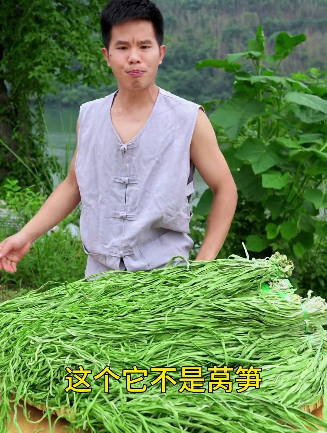 二三十斤的新鲜贡菜,才可以晒成这样一斤的干贡菜