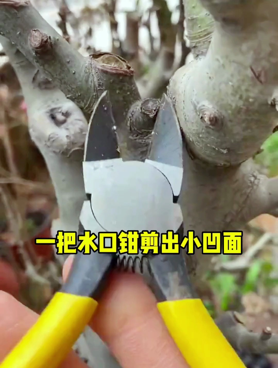 水口钳和修枝剪到底哪个用途更广?