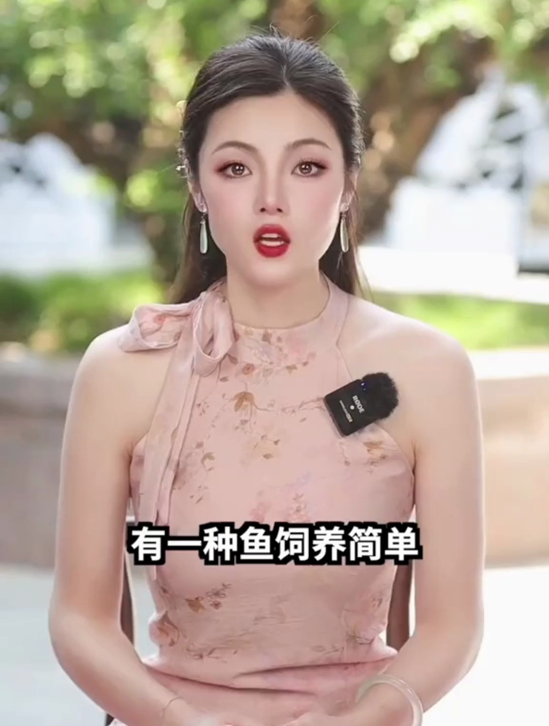 今天跟大家聊聊泰国斗鱼