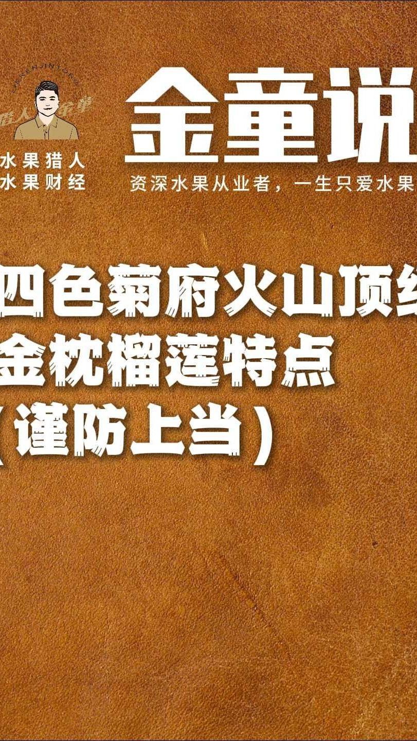 四色菊府火山顶级金枕榴莲特点（谨防上当）