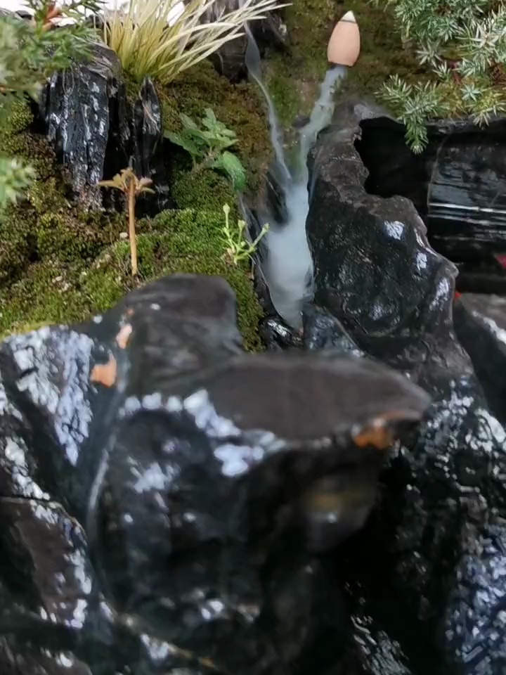 这样的鱼缸盆景二合一的造景盆景,你喜欢吗?