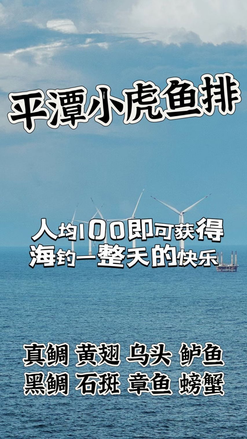 平潭鱼排竟然这么高级