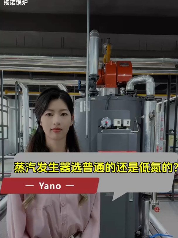 燃气蒸汽发生器、蒸汽锅炉选普通的还是低氮的?