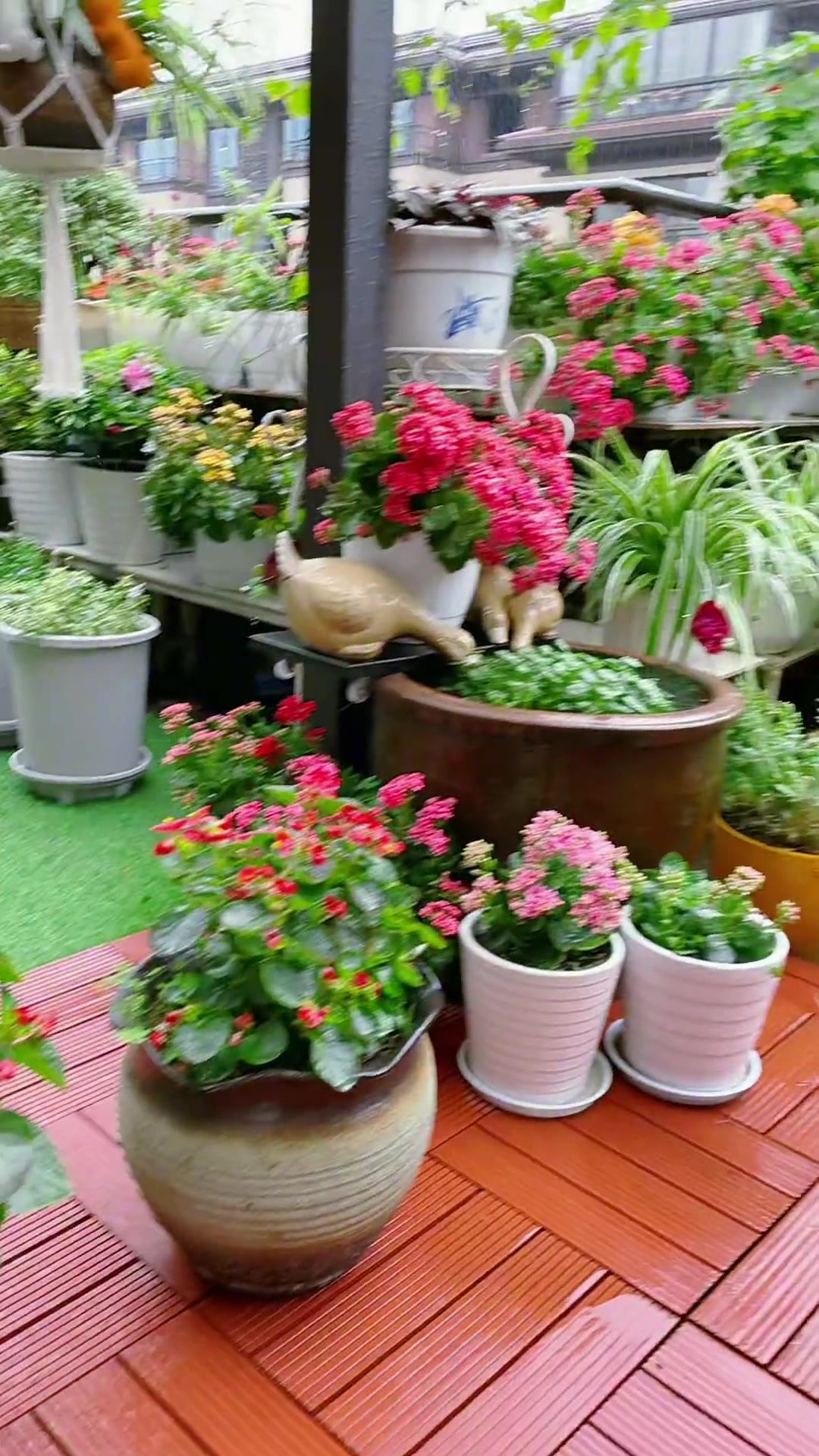 花盆底部放个锥型垫片就不会积水,花花草草可以更好的生长