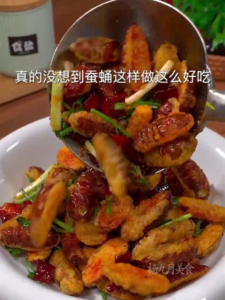 真的没想到,蚕蛹这么做竟然这么好吃,稀酥嘣脆,营养又下