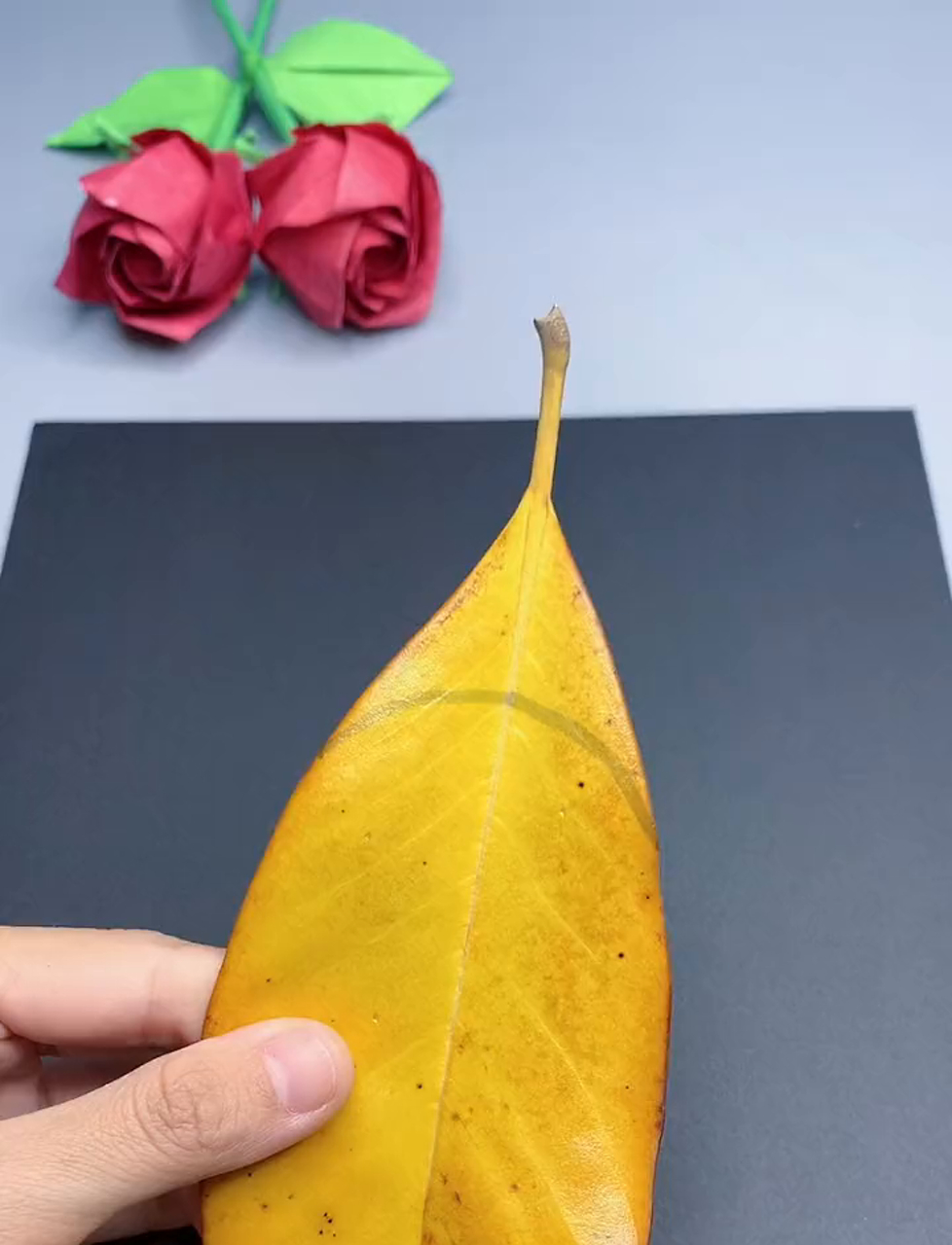 又来一幅美人鱼公主树叶画,点点胶粘树叶超省事,几秒钟搞定,贴错了还能擦掉