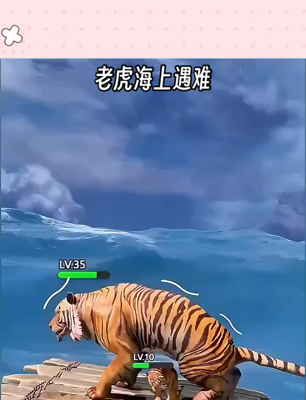 老虎海上遇难