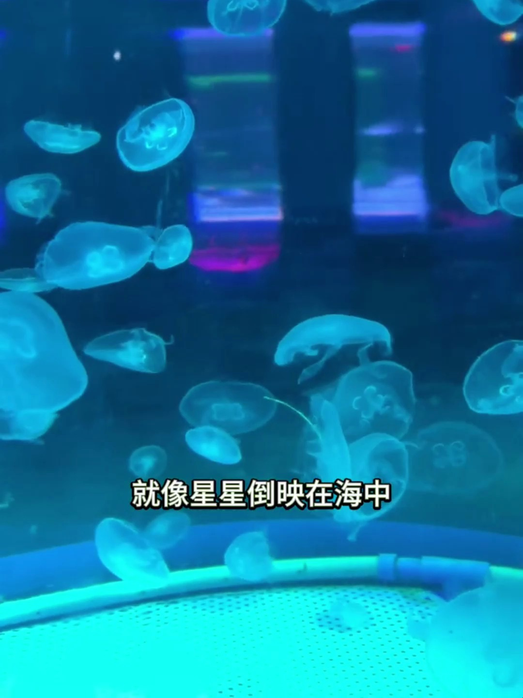 或许人生要有遗憾才算圆满