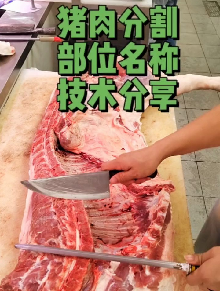 猪肉分割,部位名称,技术分享,学习起来