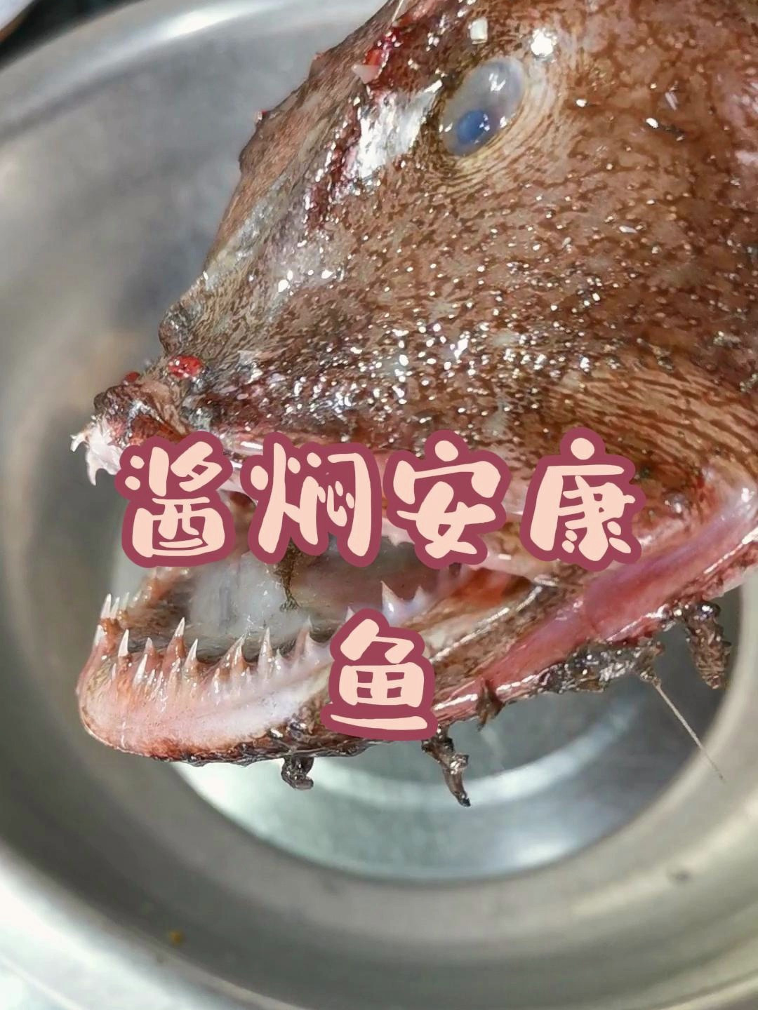 酱焖安康鱼太好吃了,安康鱼肝有海中鹅肝的美称,快收藏做起来