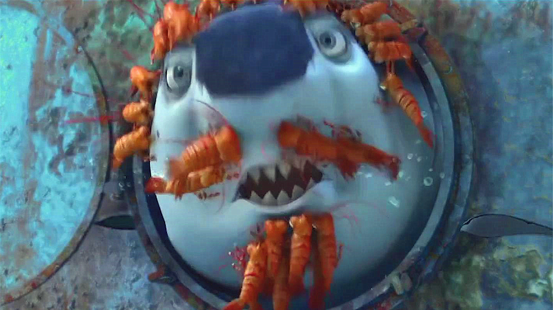 小鲨鱼性情温和,不吃小鱼只吃素,父母只能在一旁干着急