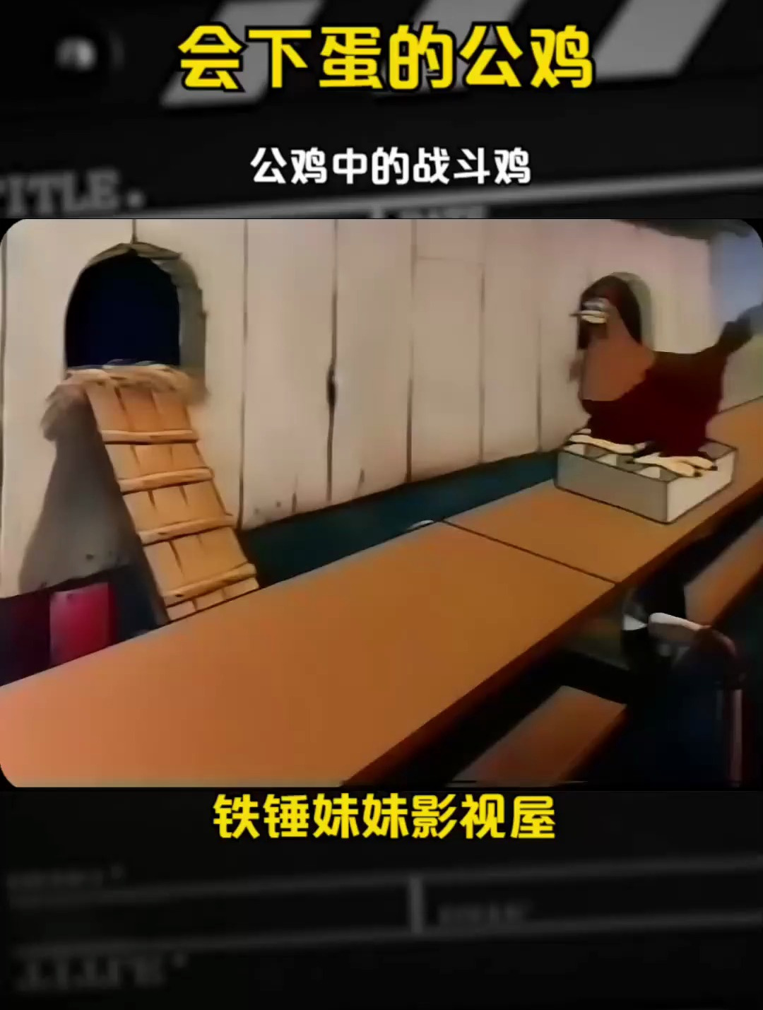 会下蛋的公鸡,公鸡中的战斗鸡 搞笑动画 童年经典动画