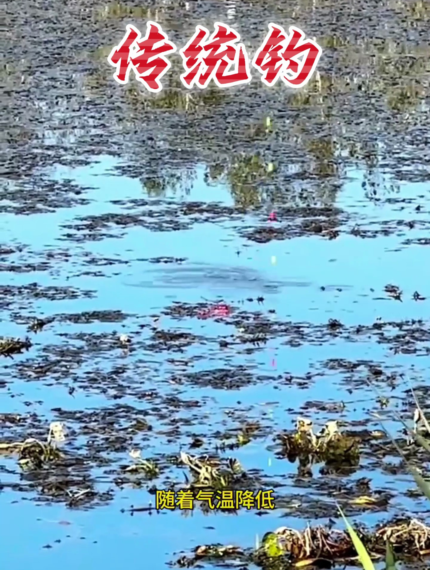 传统钓七星漂线组,冬钓鲫鱼的好帮手!