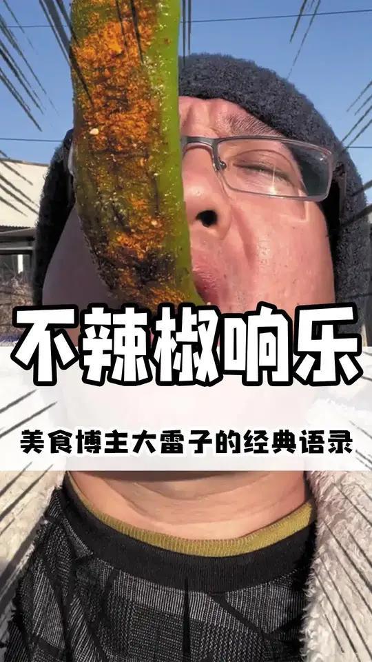 美食博主大雷子的经典语录