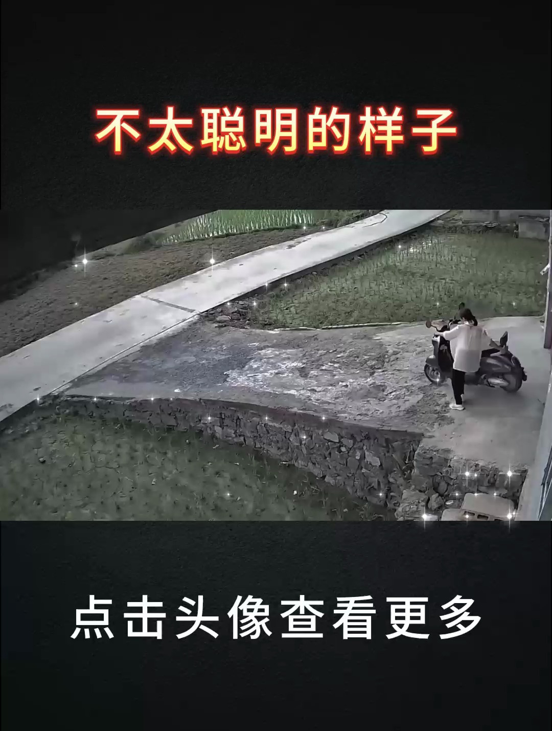 不太聪明的样子