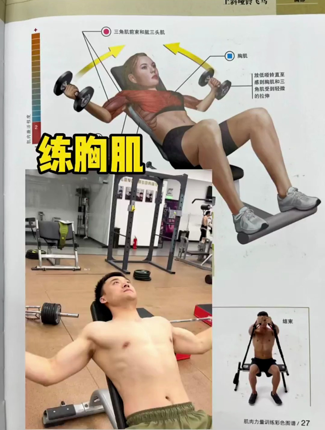 一本书教你锻炼全身肌肉!简单易懂_ 健身增肌减脂塑型