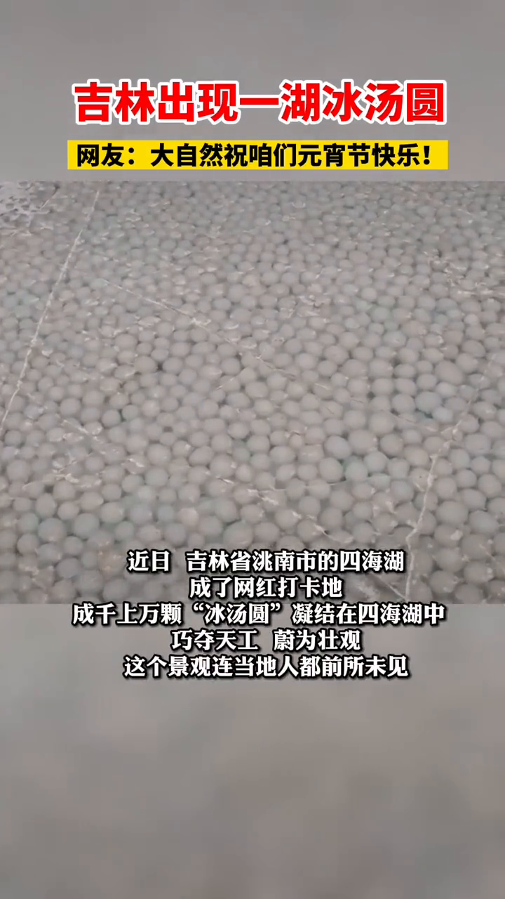吉林出现一湖冰汤圆