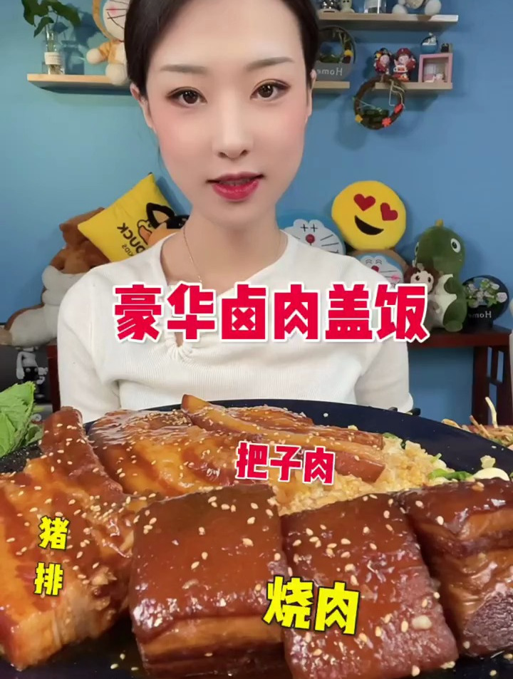 豪华卤肉盖饭,肥瘦相间的肉最香了