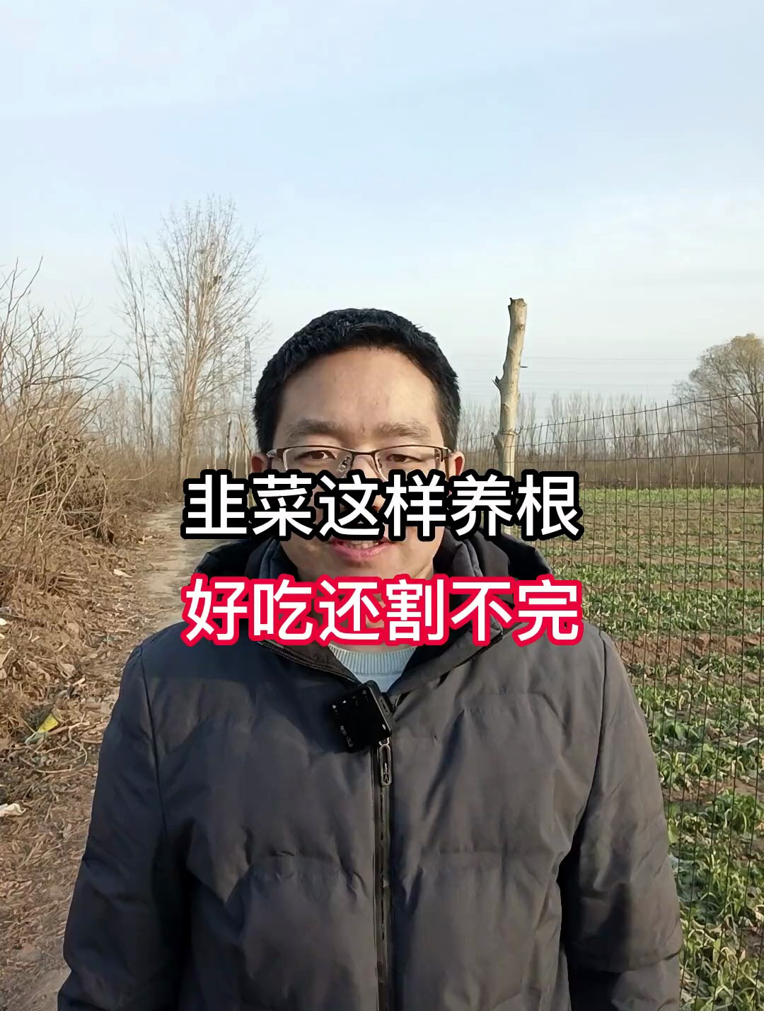 韭菜种植方法。