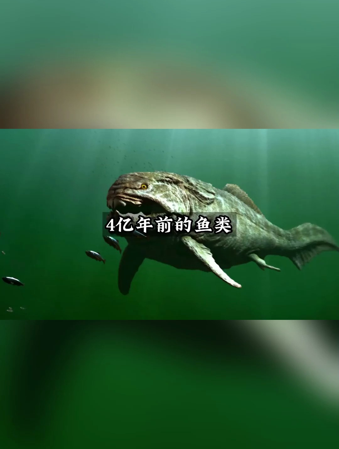 4亿多年前的鱼类都长什么样