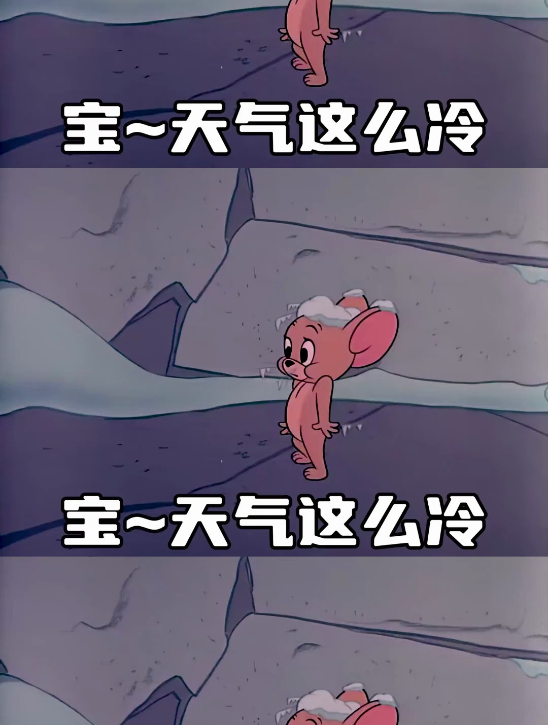 你选择哪个呀 猫和老鼠表情包
