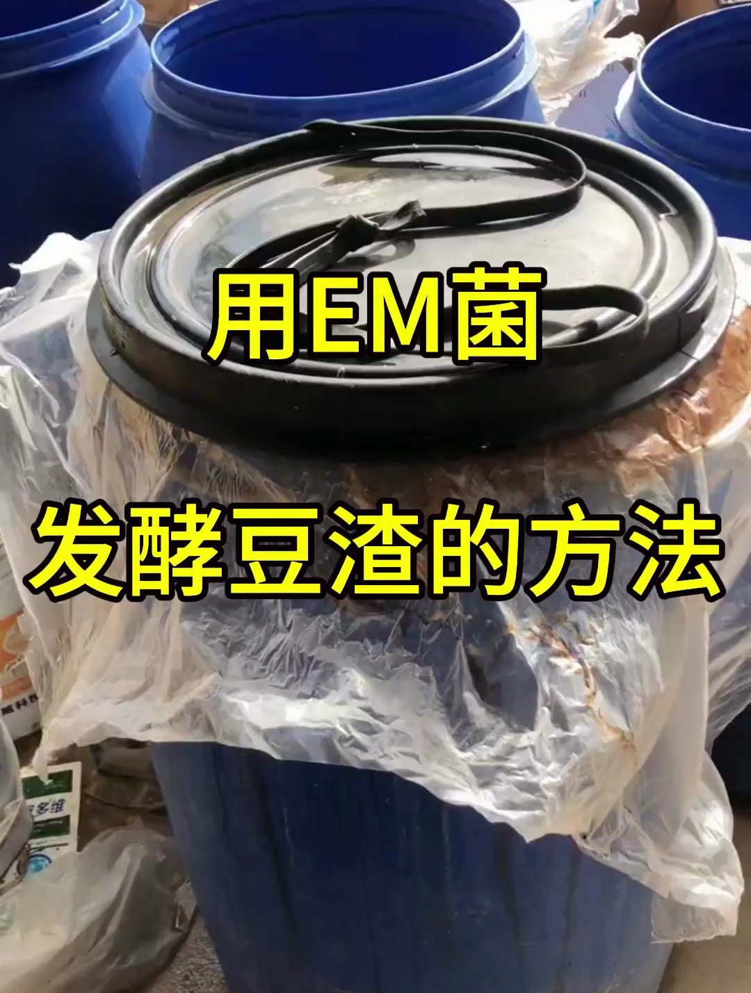 用EM菌发酵豆渣的方法,分享水产养殖技术