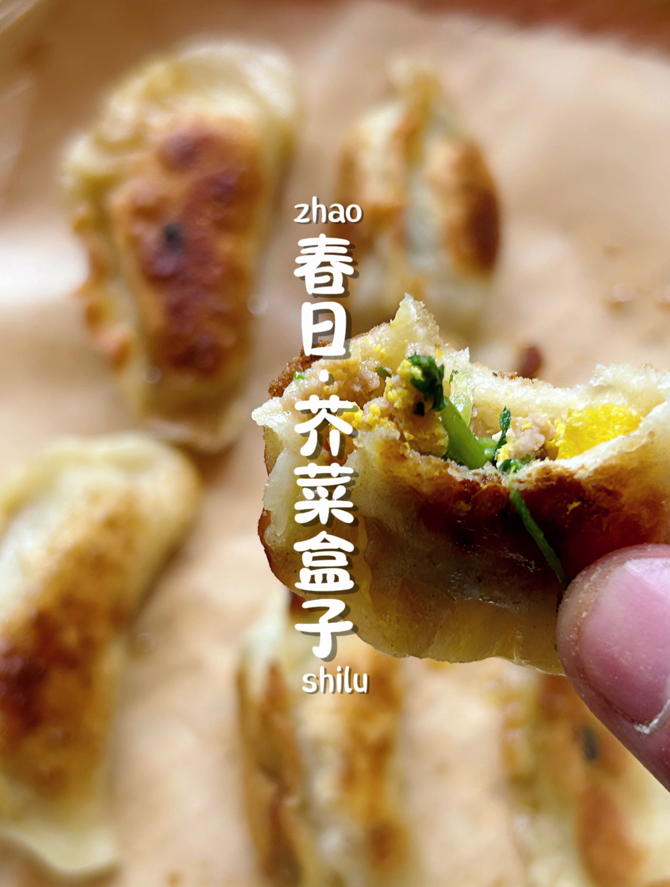 春三月,摘芥菜做“芥菜盒子”,春天的味道!