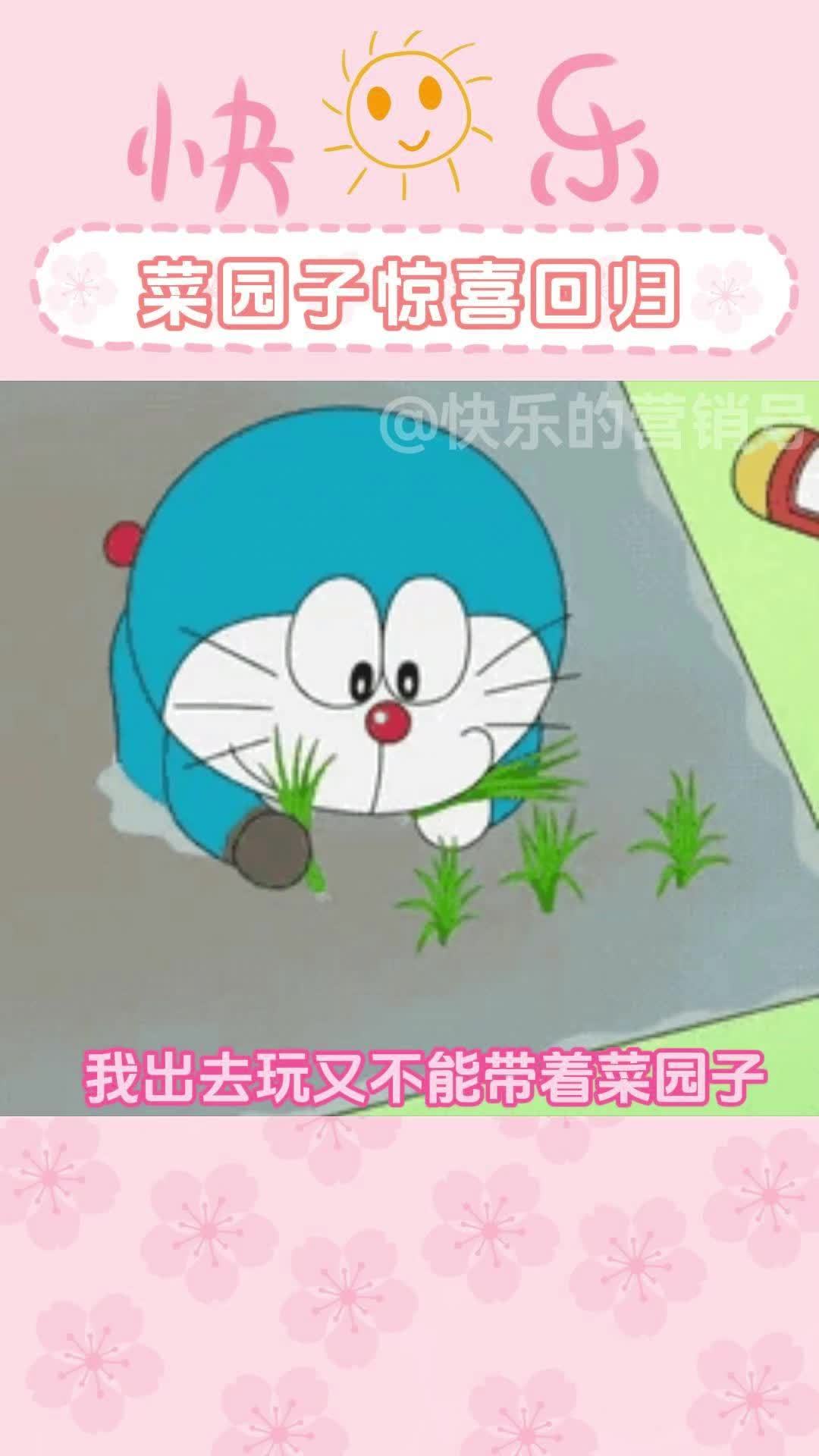 菜园子惊喜回归