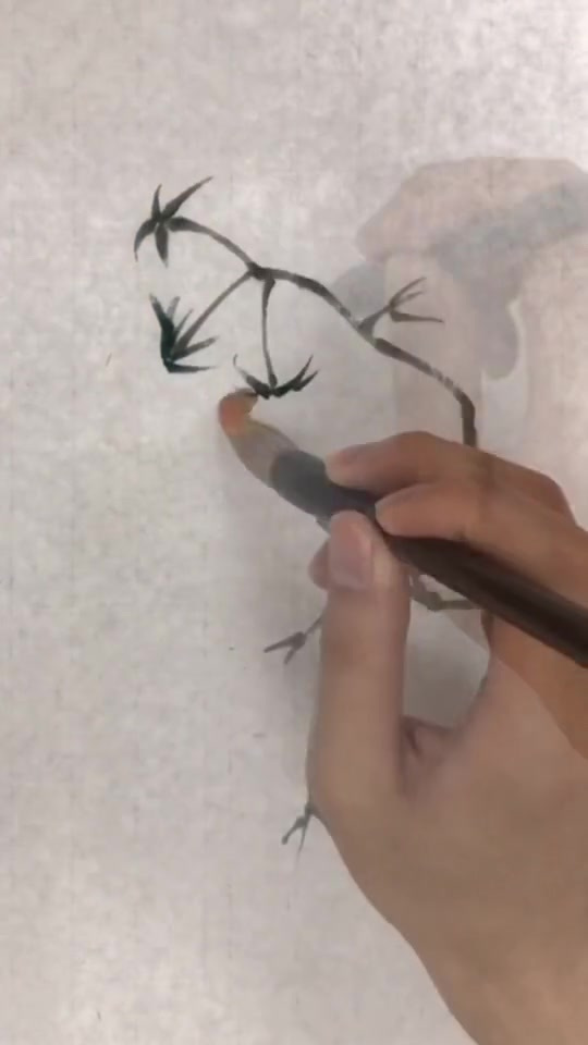 最爱吃的就是番茄炒蛋