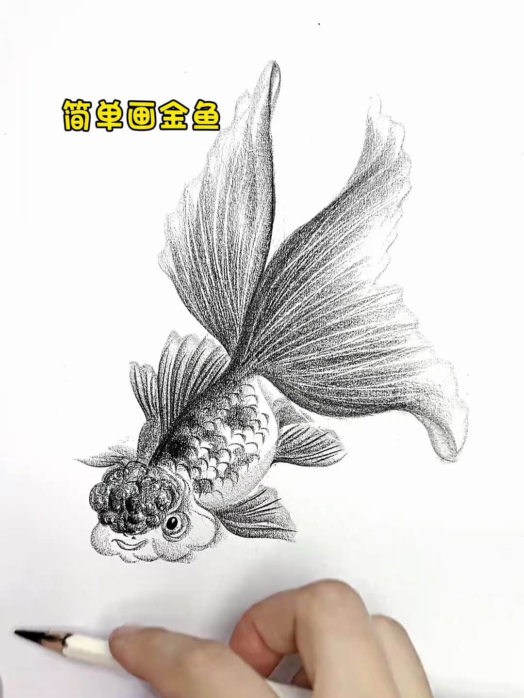 简单画金鱼