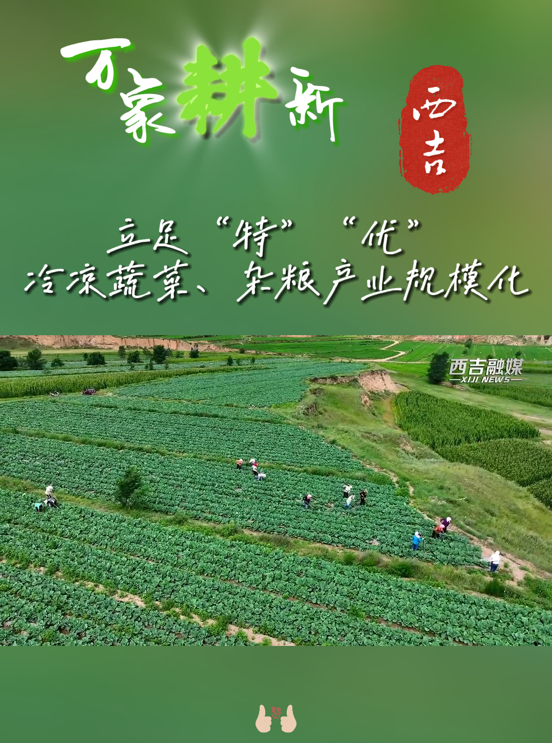 万象耕新|西吉县沙沟乡千亩冷凉蔬菜标准化产业基地