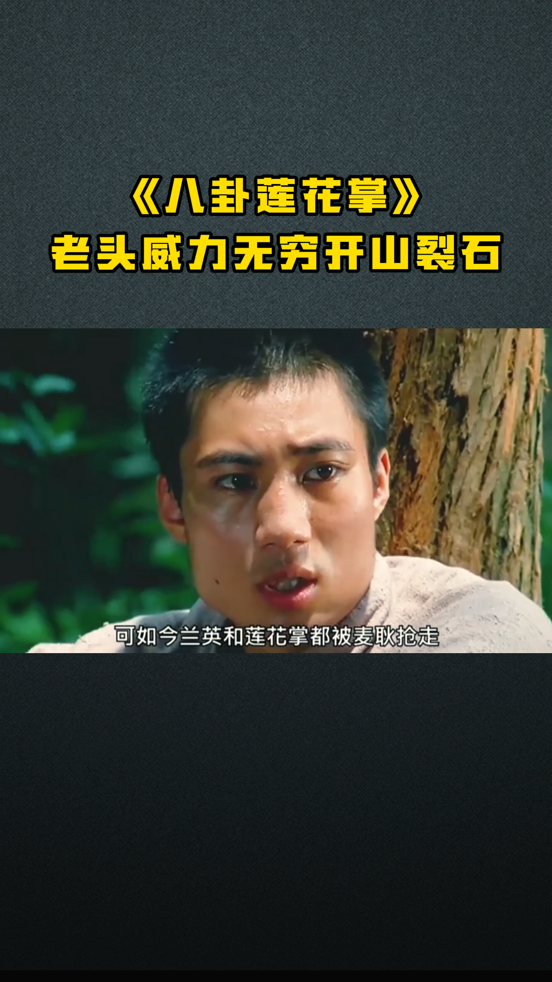 《八卦莲花掌》老头威力无穷开山裂石