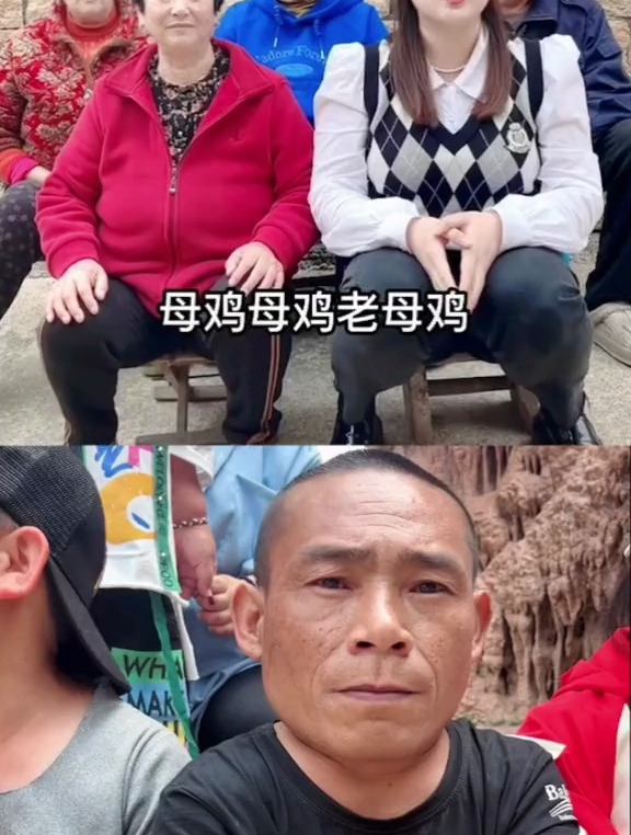 大母鸡,小母鸡,母鸡母鸡老母鸡