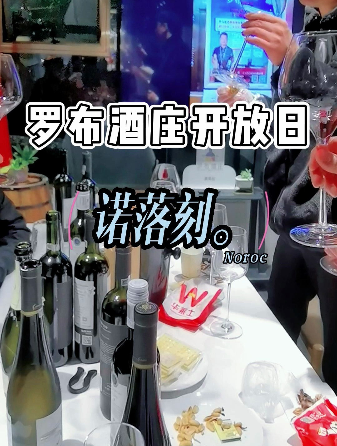 罗布酒庄首次举办罗马尼亚葡萄酒开放日