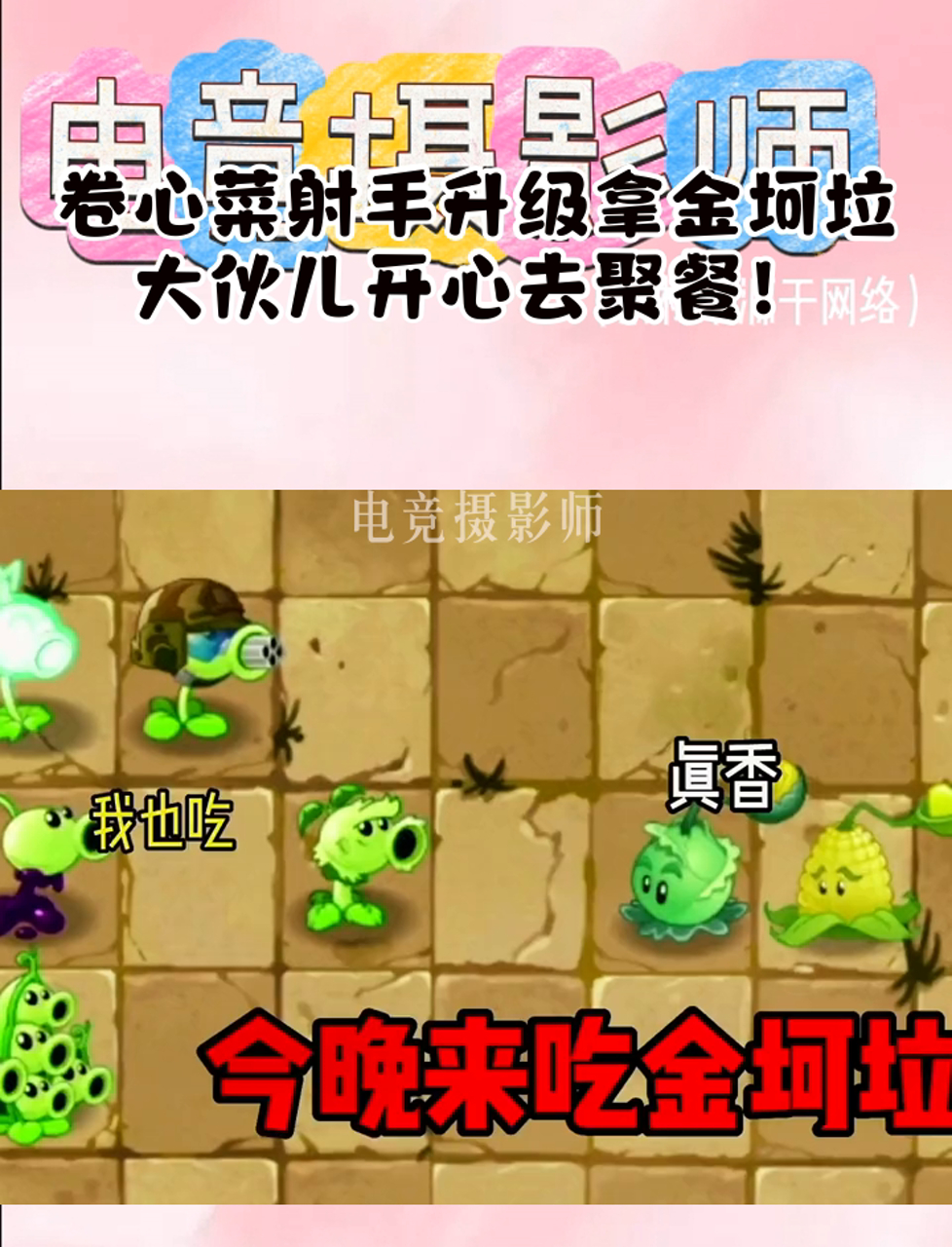 卷心菜射手升级拿金坷垃,大伙儿开心去聚餐!