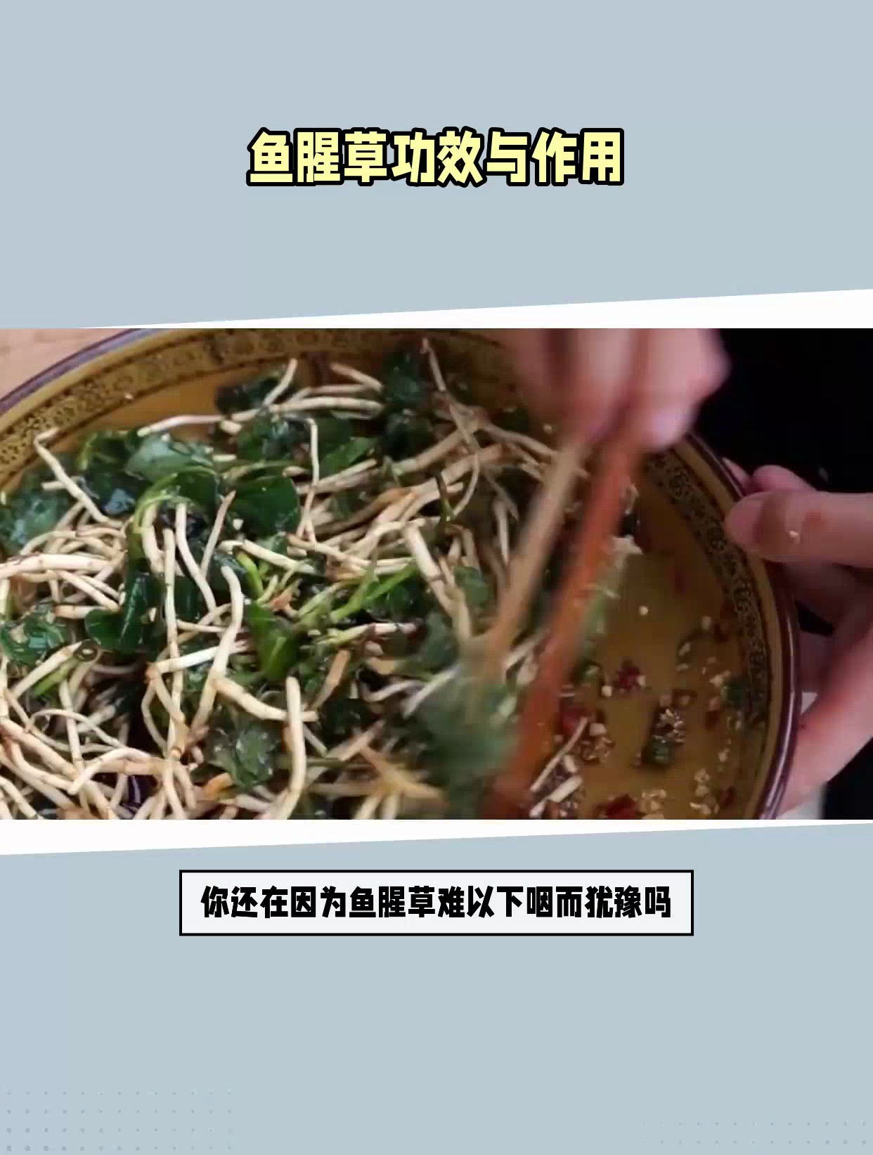 鱼腥草的功效与作用
