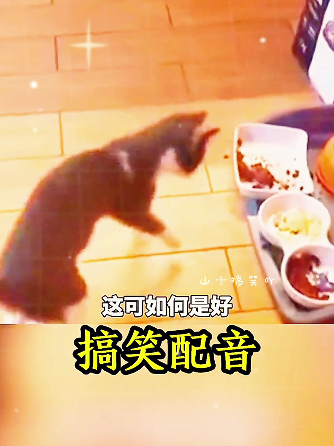 这一顿三菜一汤,让狗子都不敢下口……