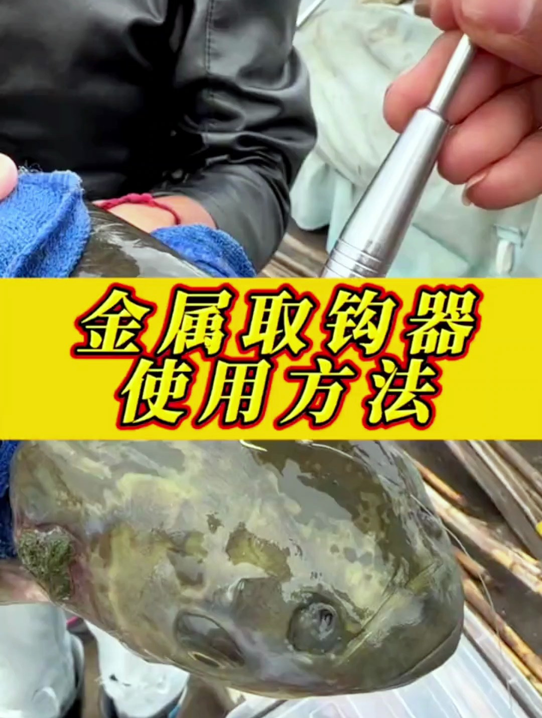 钓鱼再也不用手来抓鱼,教你两秒轻松“脱钩”,摘钩不再烦恼