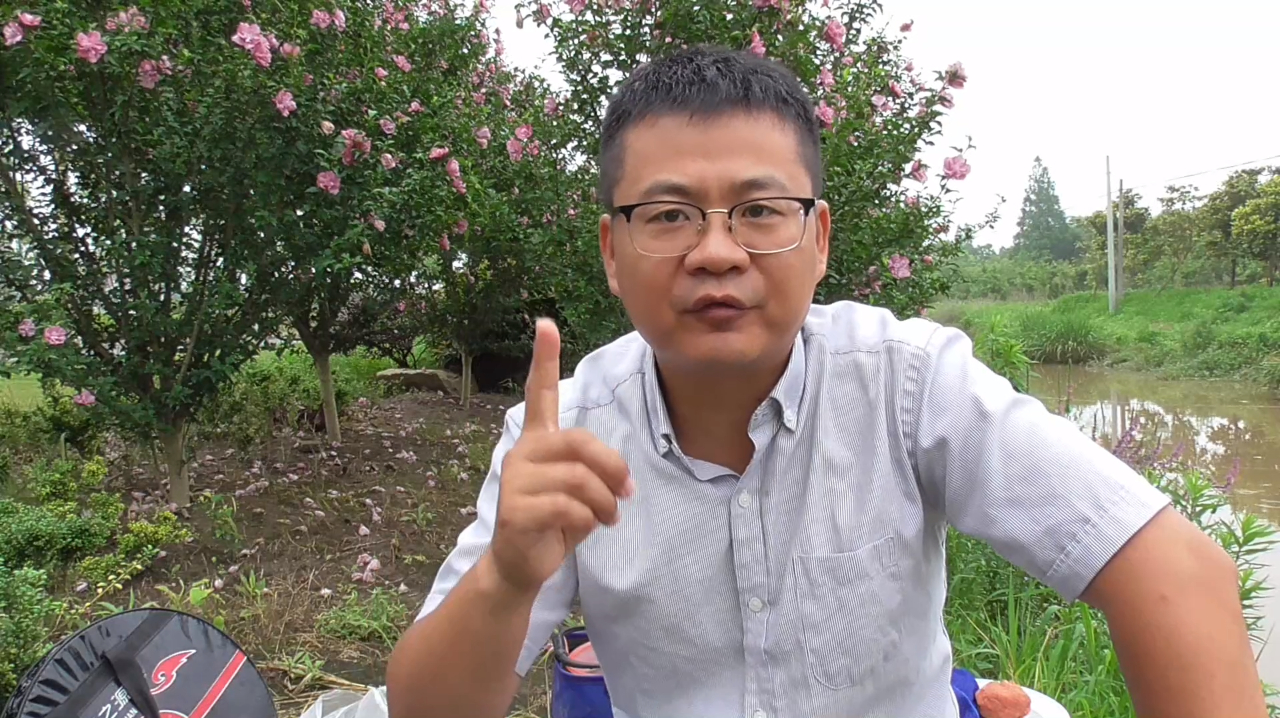 野钓鲫鱼浮漂顿口顶漂动作很多,却总是空枪或锚鱼,是什么原因