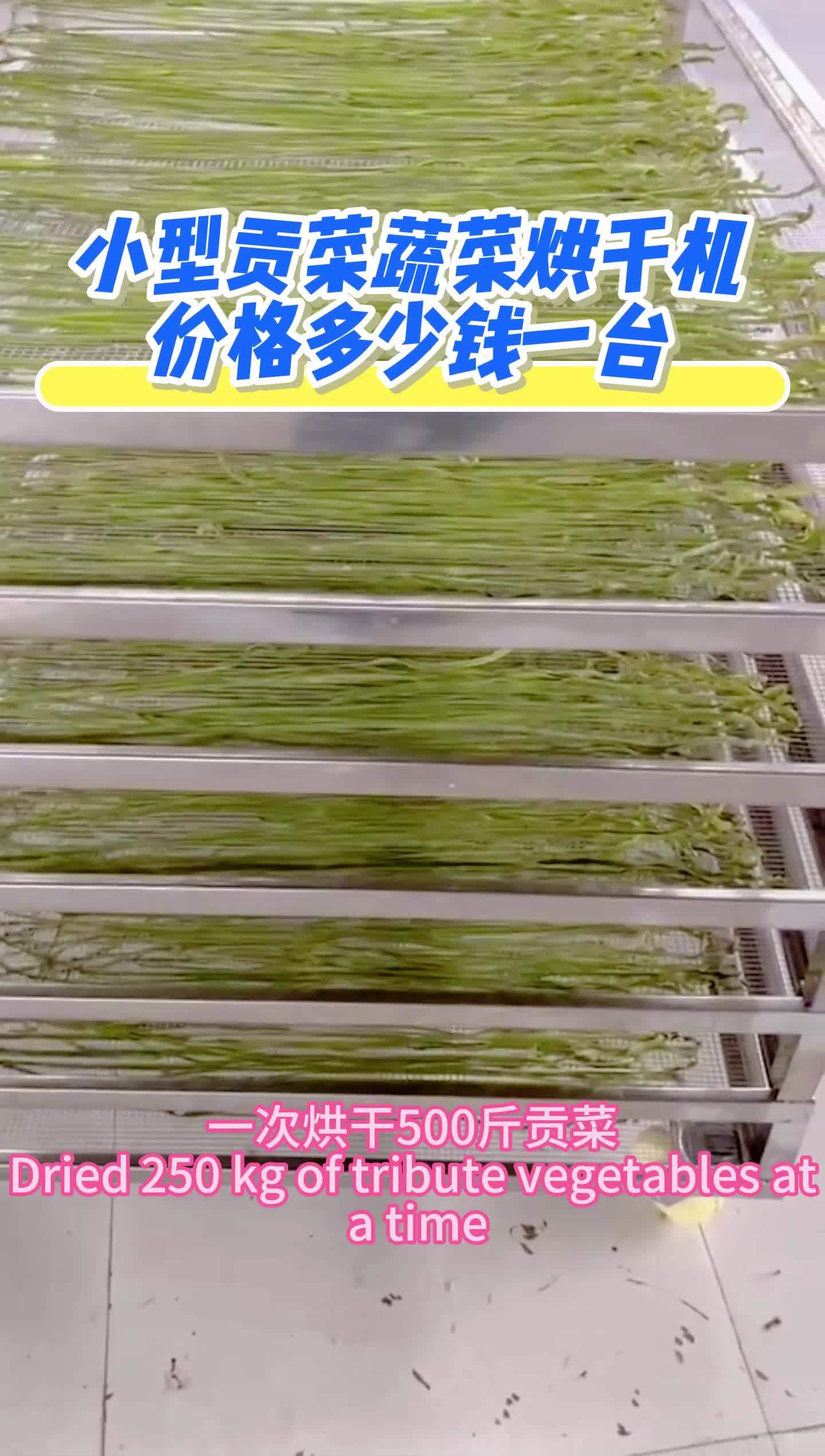 小型贡菜蔬菜烘干机设备