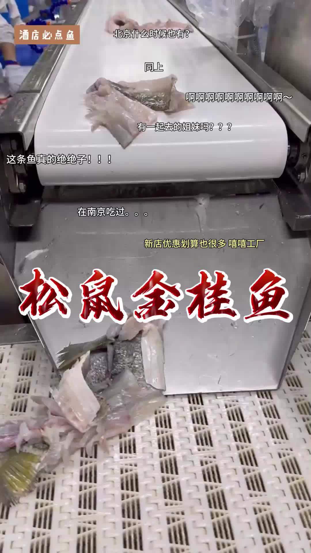 松鼠金桂鱼源头工厂生产一线视频,品质媲美松鼠鳜鱼酒店特色菜