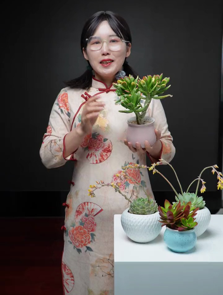 花卉绿植:关于多肉植物“小人记” 的花语!