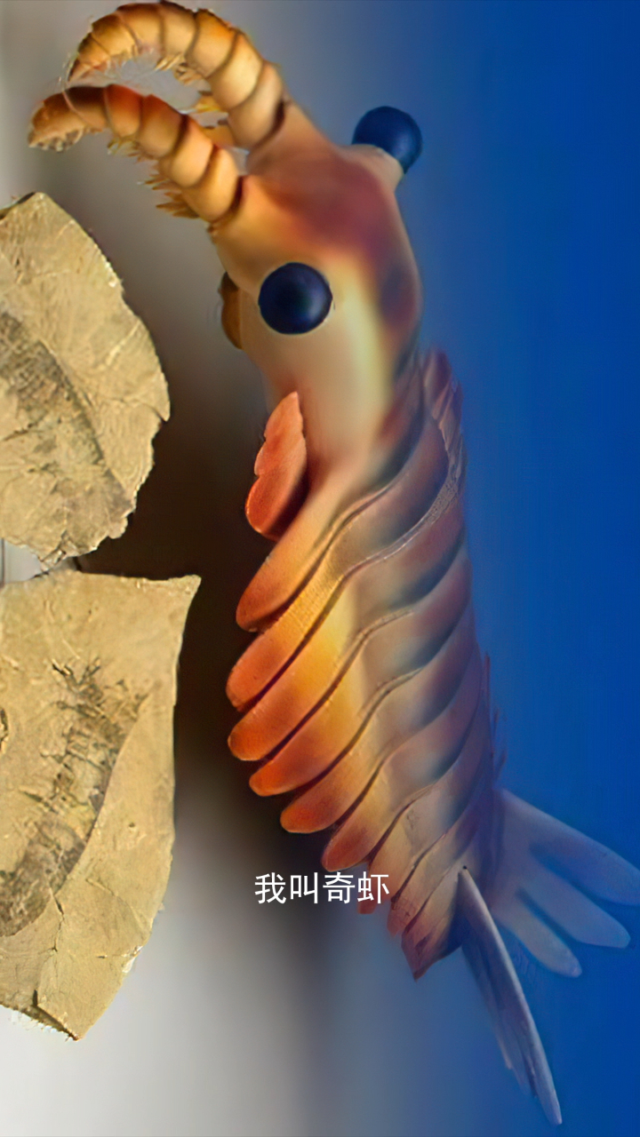 远古霸主奇虾