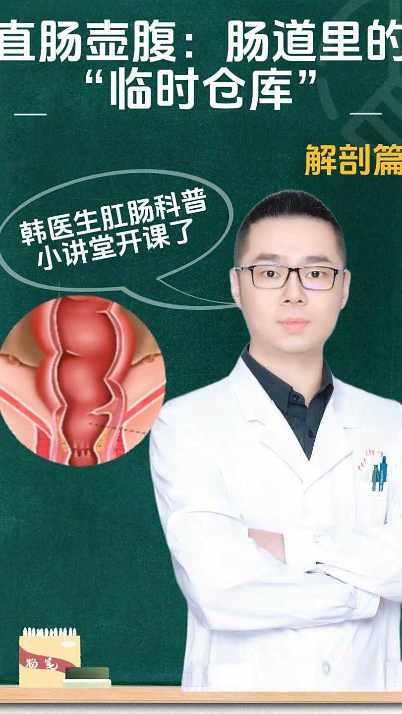 直肠壶腹:肠道里的“临时仓库”