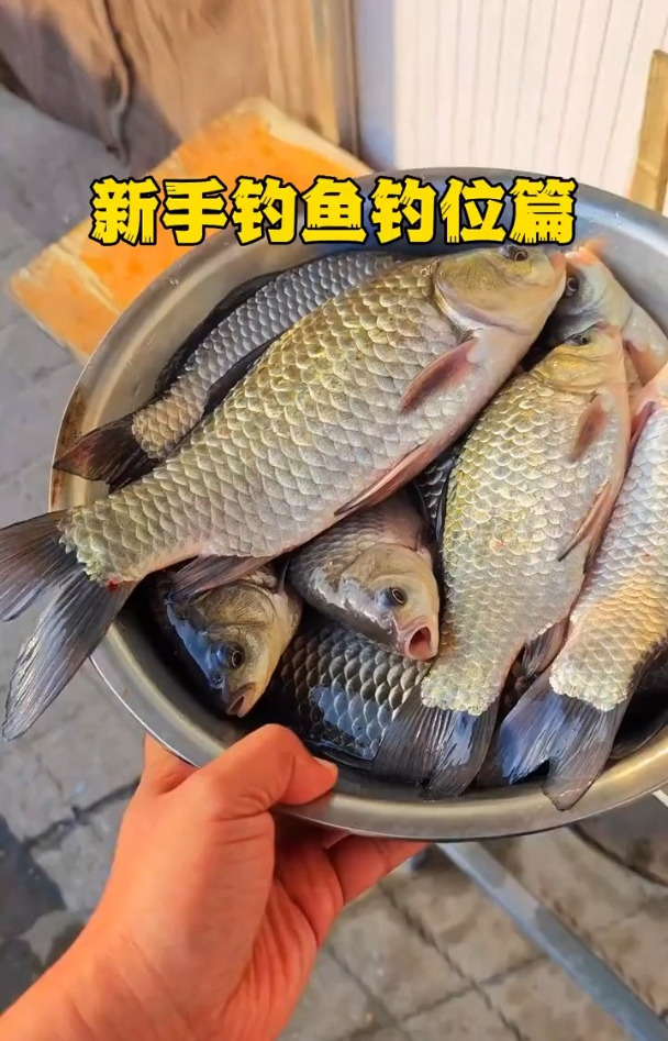新手钓鱼应该如何选择钓位,看看这个你就知道了