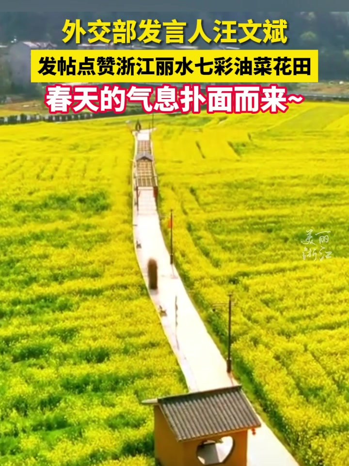 外交部发言人汪文斌发帖点赞浙江丽水的七彩油菜花田,这是春天的浪漫!