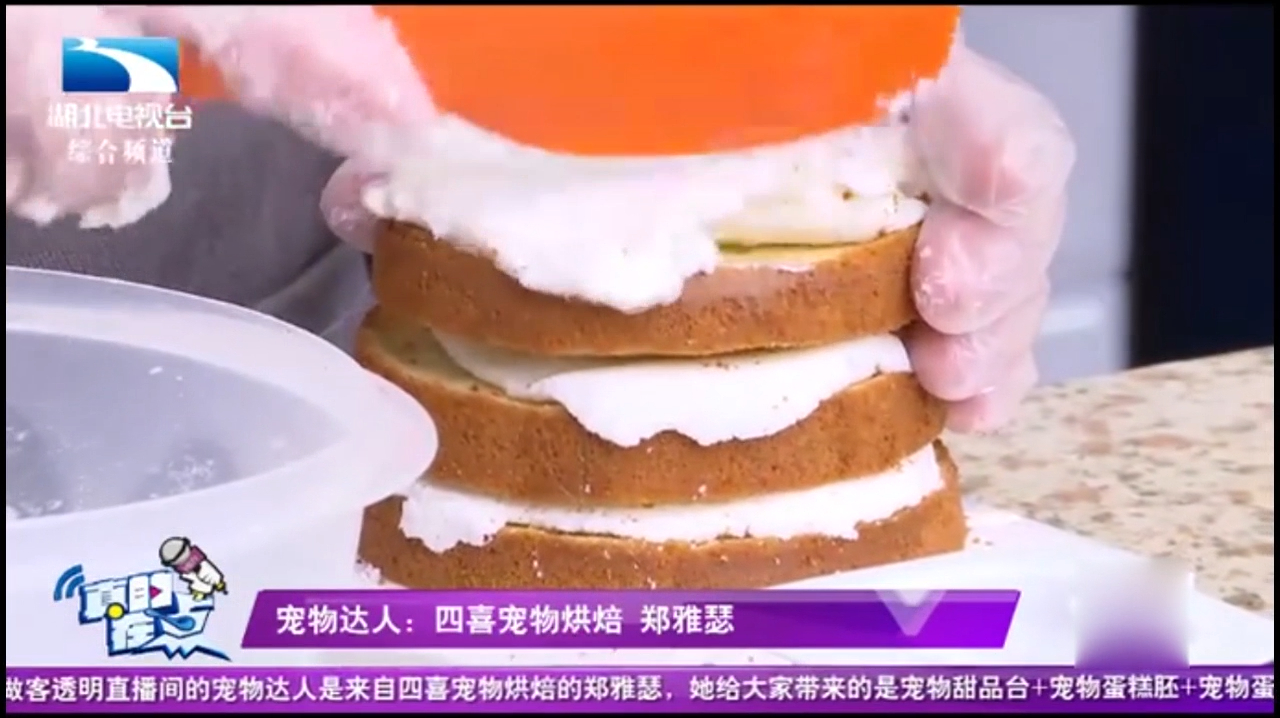 真的在点:宠物蛋糕如何制作,感兴趣的来了解一下吧